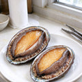 Fresh Whole Abalone In Shell
