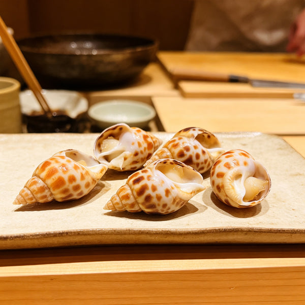 Frozen Whole Sea Snails In Shell